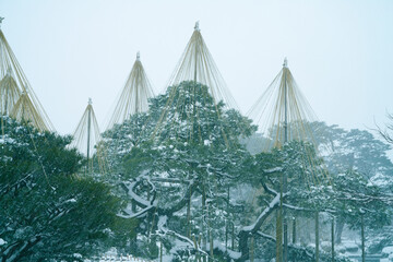 Great snow day in Kanazawa, 2021.
