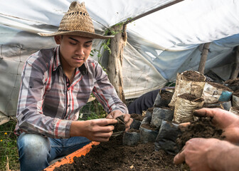 Young latin farmer filling containers with potting soil made for growing seedlings. Working ...