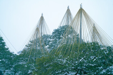 Great snow day in Kanazawa, 2021.