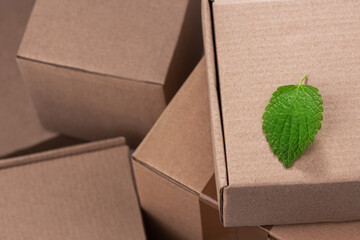 Green leaf on a pile of cardboard boxes