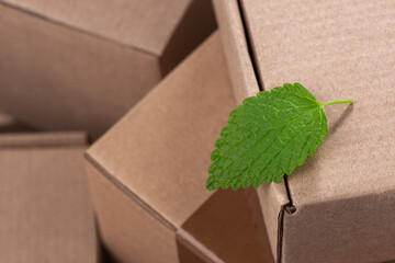 Green leaf on top of a pile of cardboard boxes - obrazy, fototapety, plakaty