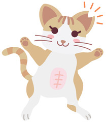 不妊手術と耳カットをした地域猫の女の子