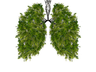 Abstract silhouette of lungs on a white background . Trees are the lungs of the planet. Air purification. Ecological concept. Tree branch. Healthy lung.