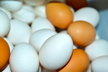 Yellow and red eggs in the refrigerator close up