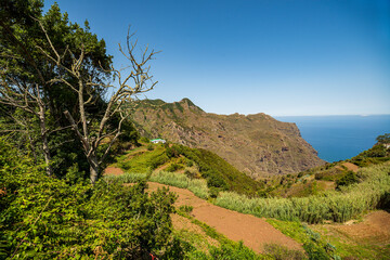 Fototapeta na wymiar Rural landscape of Tenerife Canary Islands Spain