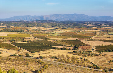 View of vineyards fields of Somontano PDO, Huesca province, Spain