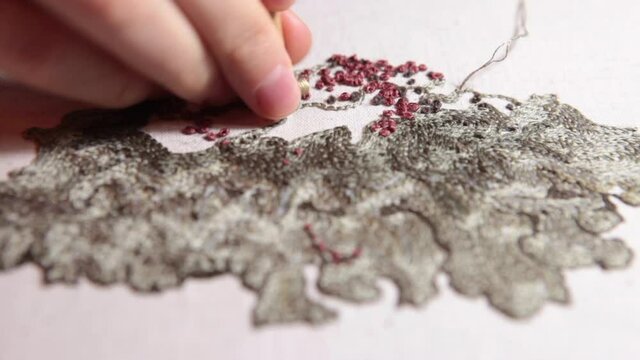 Couture embroidery using Luneville hook (crochet). Сhain stitch