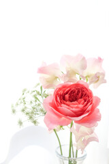 窓辺にあるピンクの薔薇