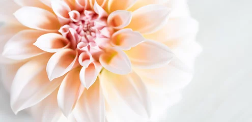 Deurstickers オレンジピンクのダリアの花びらのアップ © MANAMI Y Photography