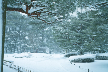 Great snow day in Kanazawa, 2021.