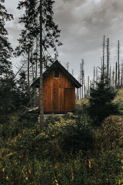 cabin in the woods