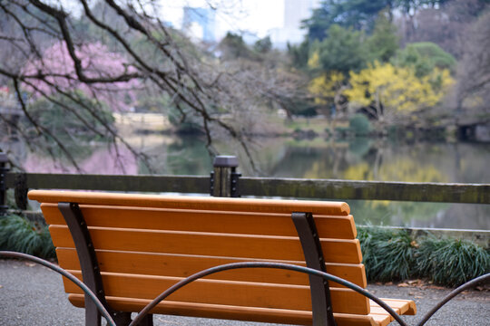 a benche in the park