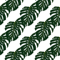 Isolated exotic seamless pattern with green monstera leafs. White background with botanic ornament.