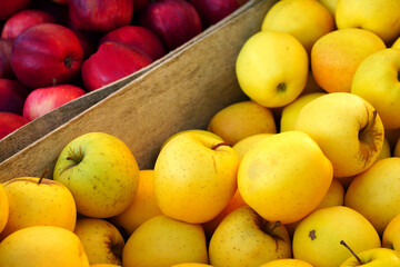 Fresh red and yellow apples at a farmers market