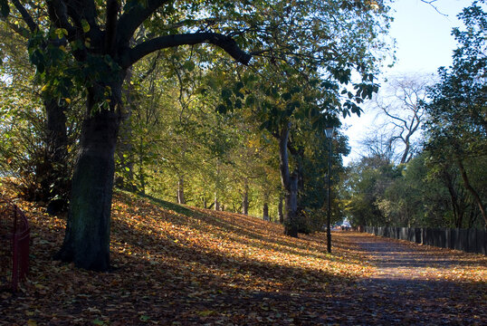Battersea Park in autumn, London, England 