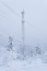 icу cell tower over a snowy forest on top of a mountain against a winter sky