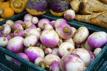 Colorful purple and orange turnip vegetable at a winter farmers market