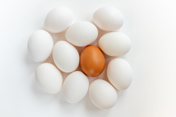 Group of fresh eggs. White chicken eggs and one brown on white background. Top view
