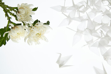 折鶴と白菊