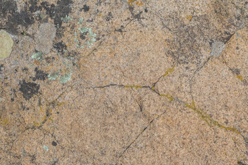 Close up view of a grey flat stone speckled with colourful lichens growing. Pattern and texture surface with green, yellow, orange, grey and white colors. Abstract outdoor natural view as a background