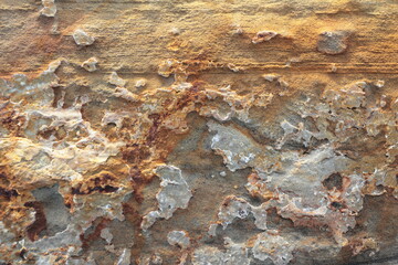bright beautiful abstract texture of natural stone