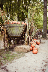 Bauernhof im Herbst
