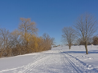 Fototapeta na wymiar Hiking and cross country skiing traill in the snow between bare trees and shrubs on a sunny day with clear blue sky in Ottawa, Canada 