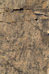 Extreme macro close up of surface Rock pattern. Stone texture and background. Rock Abstract Background