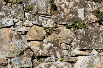 Old stone rock wall surface texture with grass. Close up detail. Pattern abstract background.