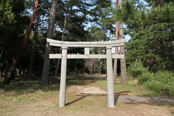 shinto gate (torii) in amanohashidate (japan)