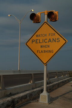 Pelican sign, Port Isabel, Texas, USA.