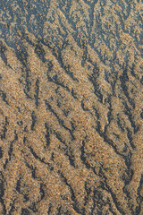 Extreme macro close up of fine beach sand surface pattern in the summer. Sandy trails, texture and background. Top view. Abstract Background. 