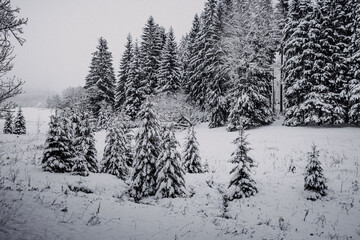 Thüringen | Stützerbach Busselbach im Winter