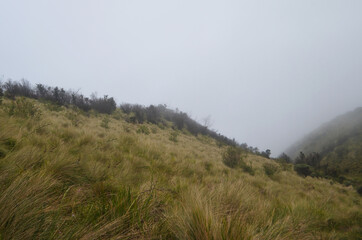 morning in the mountains