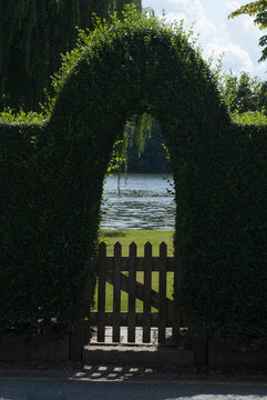 Arched hedge with wooden gate