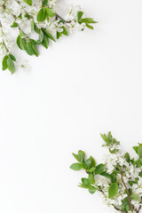 vertical white empty background with blooming cherry and apple tree leaves, mock up spring, place for text 