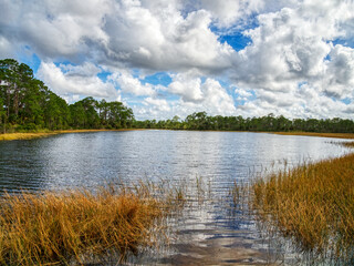 Winter colors and big clouds over Webb Lake in Babcock/Webb Wildlife Management Area