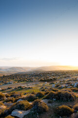 sunrise over the desert © clarusvisus