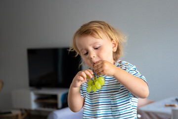 Little boy is sitting on a table in the kitchen and eating grapes. Child tastes fruits. 