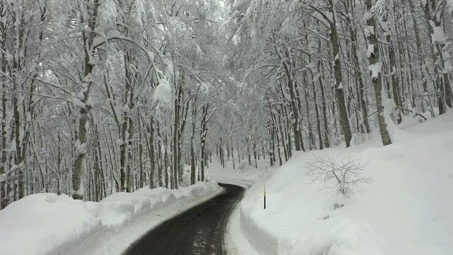 Strda di montagna innevata, in mezzo agli alberi coperti di neve.
Vista aerea di paesaggio invernale. Strada di montaggna sotto la neve in mezzo al bosco di pini