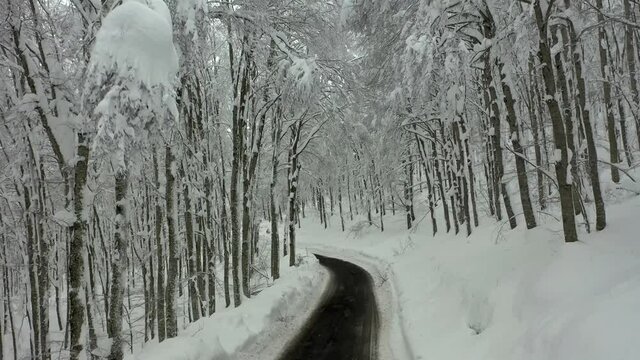 Strda di montagna innevata, in mezzo agli alberi coperti di neve.
Vista aerea di paesaggio invernale. Strada di montaggna sotto la neve in mezzo al bosco di pini