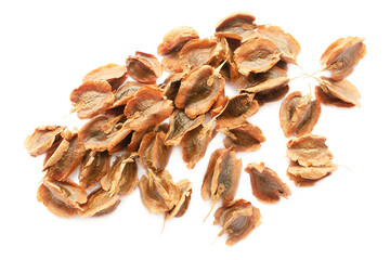 Pile of rhubarb seeds isolated on white background, top view. Seeds of the vegetable plant are rhubarb. Heap dry rhubarb seeds isolated on white background, top view. Vegetable seeds.