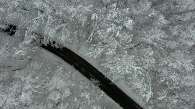 Strda di montagna innevata, in mezzo agli alberi coperti di neve.
Vista aerea di paesaggio invernale. Strada di montaggna sotto la neve in mezzo al bosco di pini