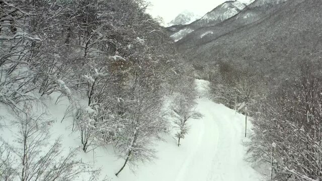 Strda di montagna innevata, in mezzo agli alberi coperti di neve.
Vista aerea di paesaggio invernale. Strada di montaggna sotto la neve in mezzo al bosco di pini