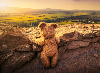Teddy in Ungarn schaut verträumt in die Landschaft bei Sonnenuntergang