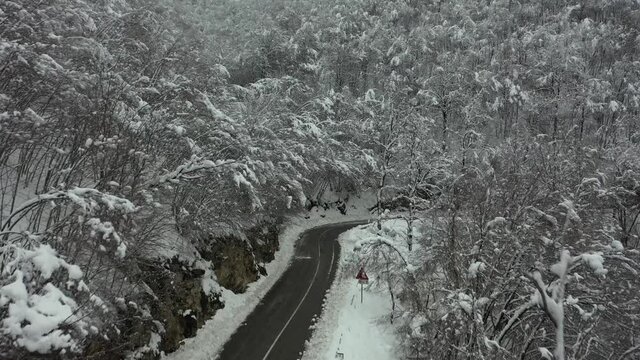 Strda di montagna innevata, in mezzo agli alberi coperti di neve.
Vista aerea di paesaggio invernale. Strada di montaggna sotto la neve in mezzo al bosco di pini