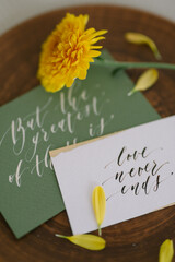 decoration of the wedding dinner of the bride and groom