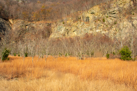 Out field near rocky mountain