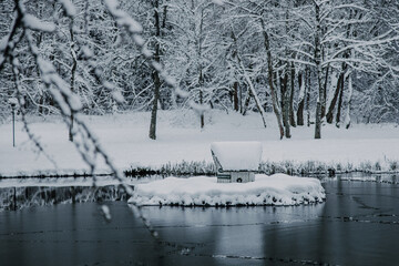 Thüringen | Stützerbach | Dorfteich im Schnee