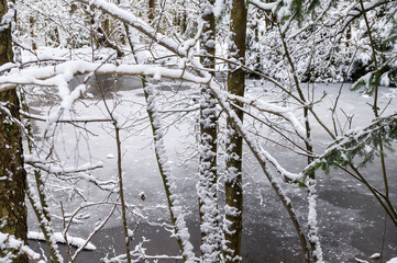 See im Winterwald